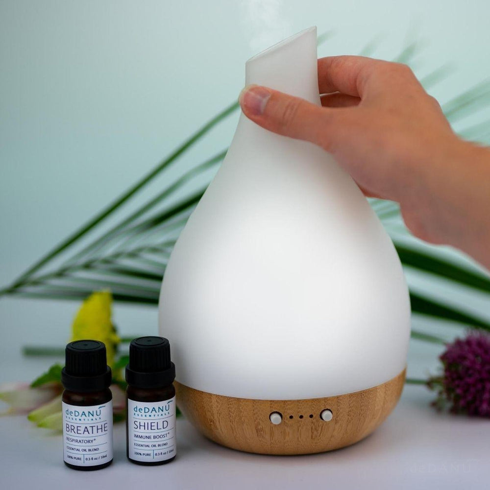 
                  
                    Home Wellness Diffuser Gift Set
                  
                