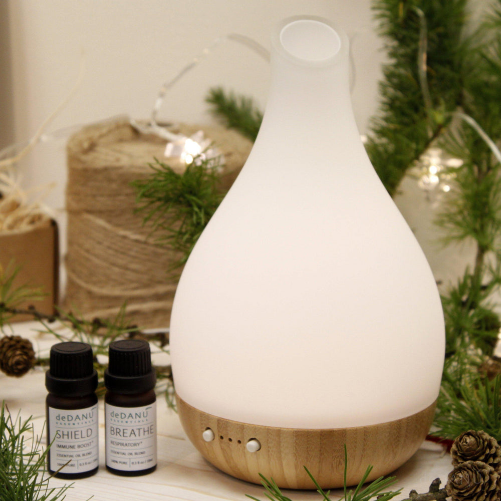 Home Wellness Diffuser Gift Set