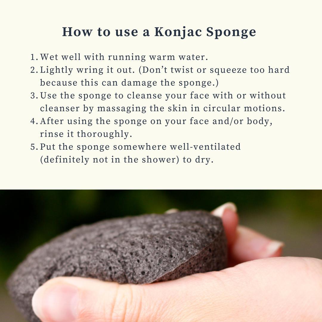 
                  
                    Konjac Sponge *NEW*
                  
                